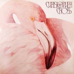 Christopher Cross - Another Page, Ophalen of Verzenden, Gebruikt