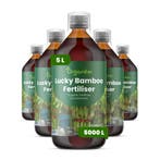 Vloeibare meststof Lucky Bamboo - Set 5x1 liter, Verzenden, Mest