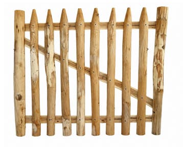 Poort Robinia 100x120 cm, Verzenden, Nieuw