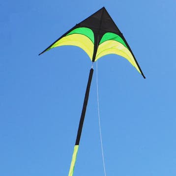 Grote Delta Vlieger met Handvat - Duurzaam Ripstop Nylon - C, Verzenden, Nieuw