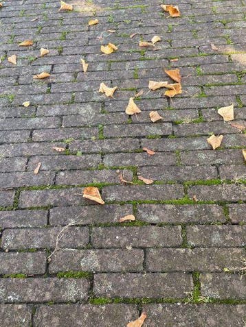 Oude gebakken Waalformaten Rood Paars (losgestort), Ophalen of Verzenden, Gebruikt, Keramiek, Klinkers