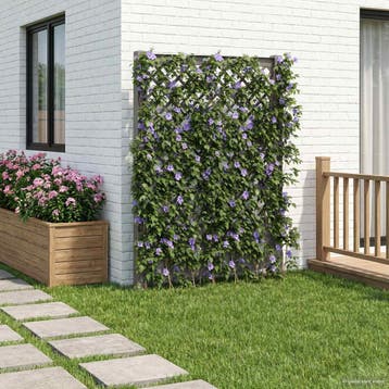 vidaXL Trellis met Spike PP Grijs, Verzenden, Nieuw