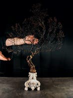 Zwarte gorgonia op sokkel, fijn 800 Taxidermie volledige, Nieuw