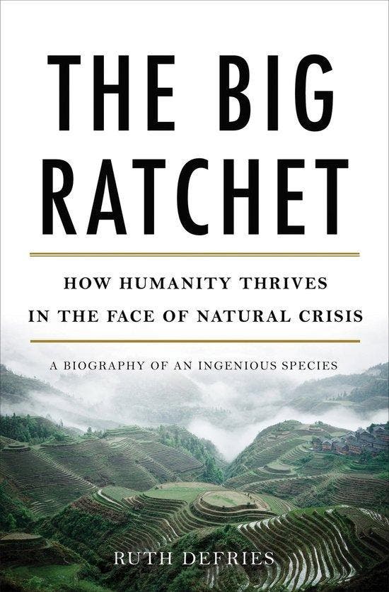 Big Ratchet 9780465044979 Ruth Defries, Boeken, Taal | Engels, Gelezen, Verzenden