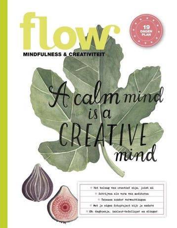 FLOW MINDFULNESS & CREATIVIT 0001 8710722011612, Boeken, Verzenden, Gelezen, Sanoma Media NL. Cluster: Vrou