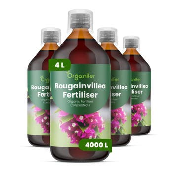 Vloeibare meststof voor bougainvillea - 4x1 liter, Tuin en Terras, Verzenden, Mest