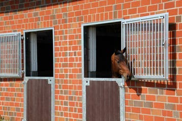 Staldeuren | staldeur paard | stal deuren | paardenstal deur, Stalling