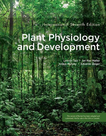 9780197614204 Plant Physiology and Development, Verzenden, Nieuw, Lincoln Taiz