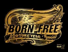 Born Free - Dice Magazine 9783899559613, Verzenden, Gelezen, Dice Magazine