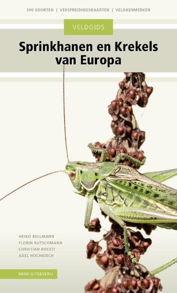 Veldgids Sprinkhanen En Krekels Van Europa | Nieuw, Ophalen of Verzenden, Nieuw, Heiko Bellmann; Florin Rutschmann; Christian Roesti; Axel Hochkirch