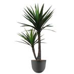 Yucca kunstplant, H175cm, Ophalen of Verzenden, Overige soorten, 150 tot 200 cm