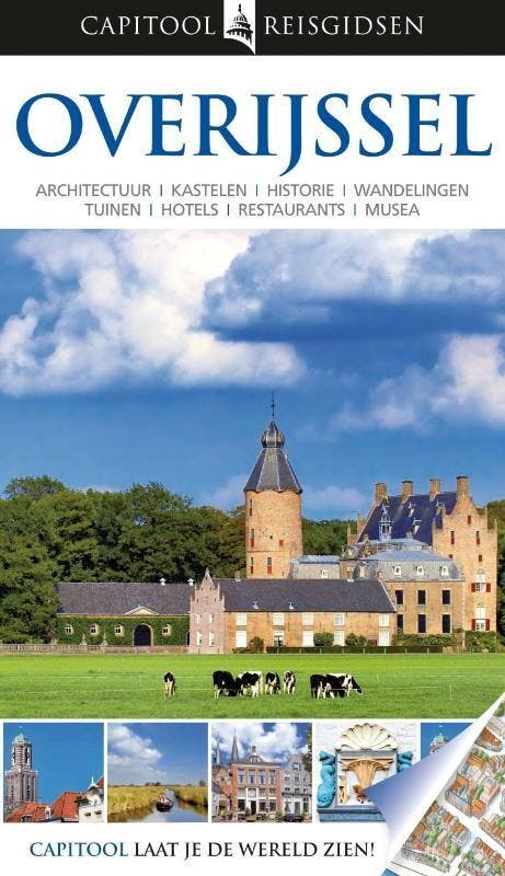 Overijssel / Capitool reisgidsen - Rien van der Helm, Boeken, Reisgidsen, Zo goed als nieuw, Verzenden