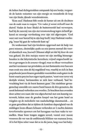 Schaamte, Ophalen of Verzenden, Nieuw