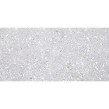 Sphinx Terrazzo Vloertegel - 298x598 mm - Mat Grijs, Ophalen of Verzenden, Nieuw