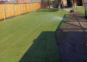Premium graszoden, grasmatten bestellen, gazon aan leggen, Ophalen of Verzenden, Nieuw, 20 m² of meer, Gras