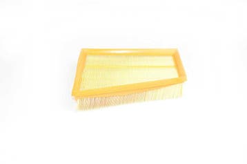Renault Air Filter 8200788425 165462862r, Verzenden, Nieuw, Renault