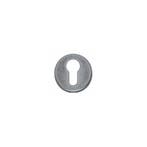 Intersteel Rozet met profielcilindergat verdekt 49x7mm - oud, Verzenden, Nieuw
