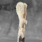 Snijwerk, NO RESERVE PRICE - Stunning Eagle carving from, Antiek en Kunst
