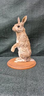Boskonijn Taxidermie wandmontage - Oryctolagus cuniculus -, Nieuw