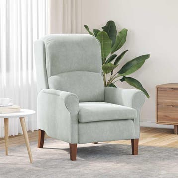 vidaXL Fauteuil Lichtgrijs Fluweel, Huis en Inrichting, Verzenden, Nieuw