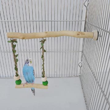 Houten Papegaai Zitstok met Dubbele Schommel en Speeltjes -