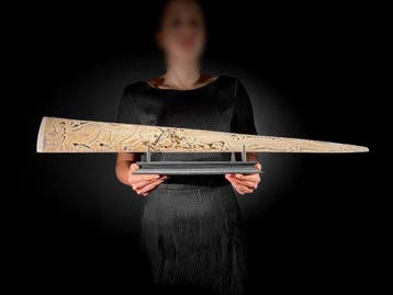 GEEN MINIMUMPRIJS - Extra groot patineerde zwaardvissentand, Antiek en Kunst