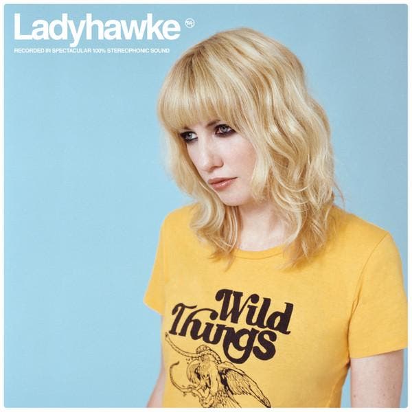 Ladyhawke - Wild Things, Cd's en Dvd's, Cd's | Pop, Gebruikt, Ophalen of Verzenden