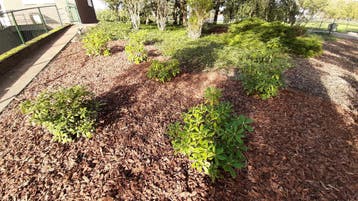 Big Bag Afgezeefde Dennenschors Larix Speciaal 1000 Liter, Tuin en Terras, Ophalen, Nieuw, Overige soorten