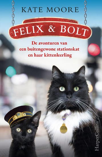 Felix & Bolt (Goed), Boeken, Verzenden, Gelezen, Kate Moore