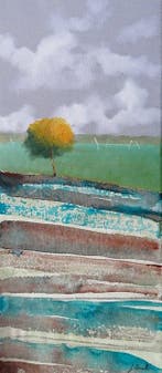 Guido Borelli - zebra turchese