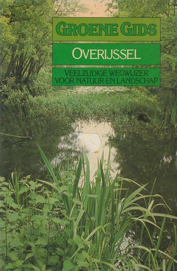 GROENE GIDS VOOR OVERYSSEL - Dykhuizen 9789021010267, Boeken, Verzenden, Zo goed als nieuw, Dykhuizen