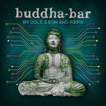 lp nieuw - various artists - BUDDHA BAR BY DOLE &amp; KOM..., Verzenden, Zo goed als nieuw, Overige formaten