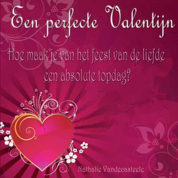Een perfecte Valentijn - Nathalie Vandecasteele, Boeken, Verzenden, Zo goed als nieuw, Nathalie Vandecasteele