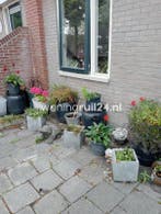 Woningruil - Nijensteinheerd 133 - 4 kamers en Groningen, Huizen en Kamers, Woningruil, Groningen