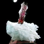 Toermalijn met georiënteerde kwartsintergroei op blauwe, Verzamelen