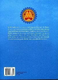 Praktisch handboek chakra yoga 9789044717808, Verzenden, Gelezen, B. Feliz Carrasco