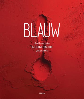 Blauw - Meta van den Boomen 9789089897756, Boeken, Verzenden, Zo goed als nieuw, Meta van den Boomen