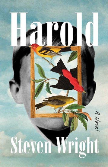 Harold - Steven Wright 9781668022696, Boeken, Verzenden, Gelezen, Steven Wright