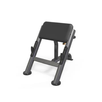 - Gymfit Luxury Line Plus Scott Bicep Curl Bench Peb109, Ophalen of Verzenden, Nieuw, Overige typen