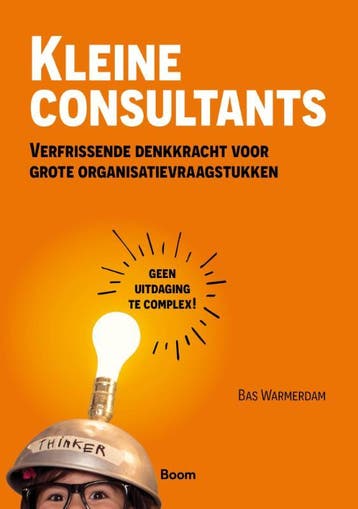 Kleine Consultants | Bas Warmerdam | Nieuw, Ophalen of Verzenden, Nieuw, Bas Warmerdam