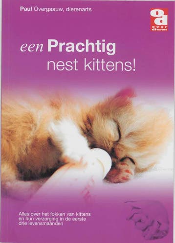 Een prachtig nest kittens! / Over Dieren / 0028 - P., Verzenden, Zo goed als nieuw, P. Overgaauw