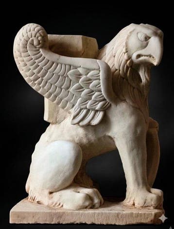 sculptuur, grifone con stemma - 40 cm - Carrara marmer