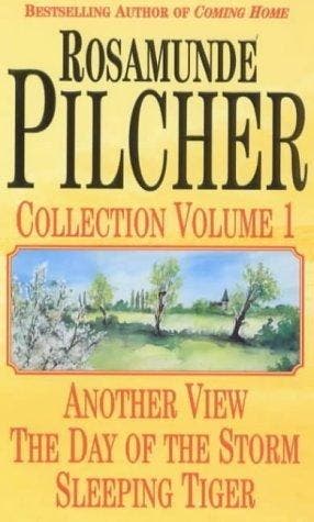The Day of the Storm / Another View / Sleeping Tiger, Boeken, Verzenden, Gelezen, Rosamunde Pilcher