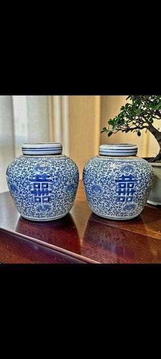 Paar Chinese gemberpotten blauw-wit – dubbel geluk -