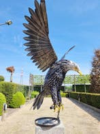 Beeldje - Flying Eagle - metal