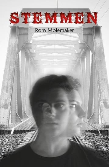 Stemmen - Rom Molemaker 9789493275881, Boeken, Verzenden, Zo goed als nieuw, Rom Molemaker