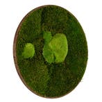 Vintlux Mosschilderij Rond 20 cm Donker Acacia - Esbjerg, Huis en Inrichting, Nieuw
