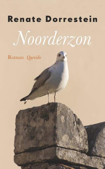 Noorderzon - Renate Dorrestein 9789021406725, Verzenden, Zo goed als nieuw, Renate Dorrestein