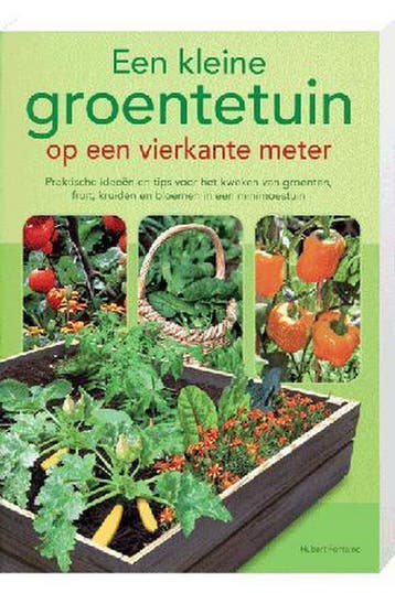 Een kleine groentetuin op een vierkante meter 9789043827232, Boeken, Verzenden, Zo goed als nieuw, Hubert Fontaine