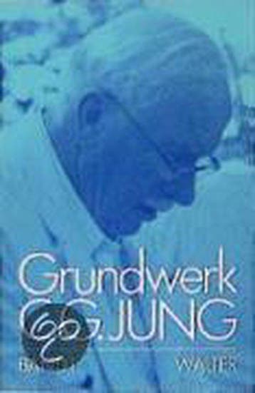 Grundfragen zur Praxis - Carl Gustav Jung - 9783530407815 -, Boeken, Verzenden, Nieuw
